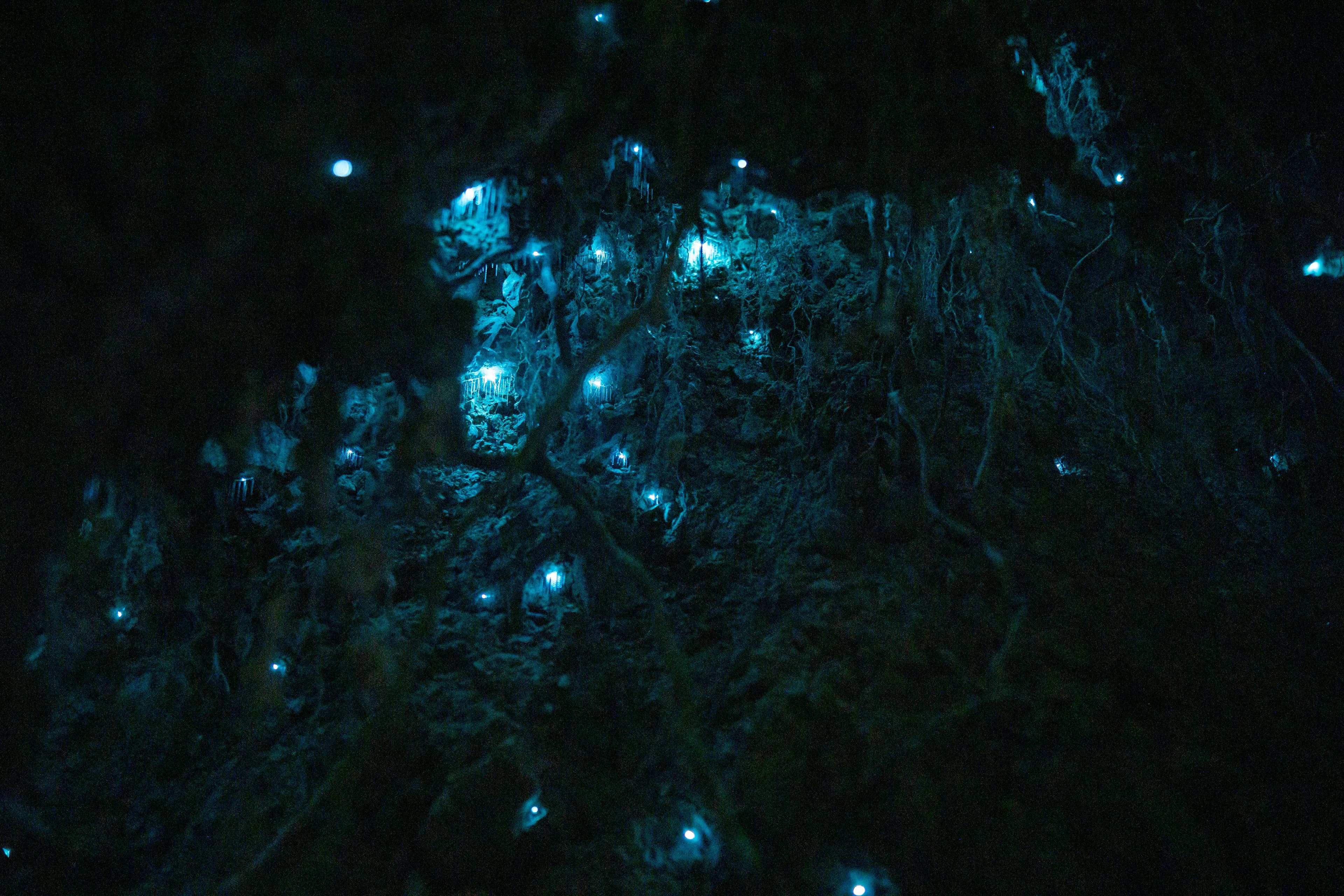 West Coast Cave Tours